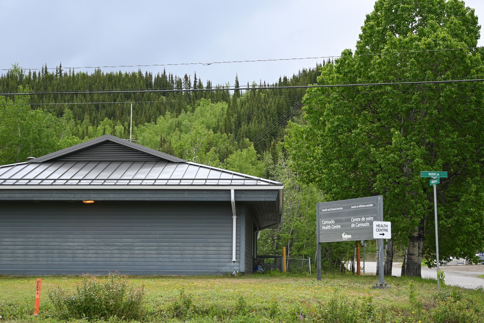 The Carmacks Health Centre under a canopy of leafy trees.