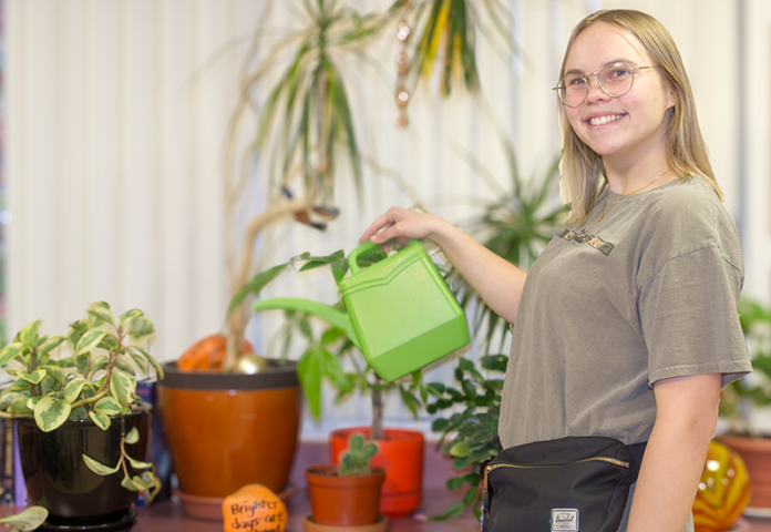 a person watering an indoor plant. 