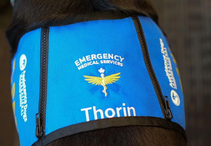 Let meet Thorin, with Yukon Emergency Medical Services