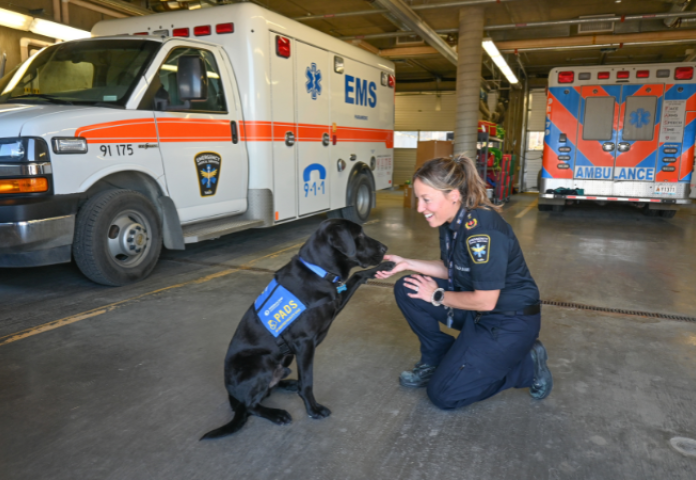 Let's meet Thorin, with Yukon Emergency Medical Services