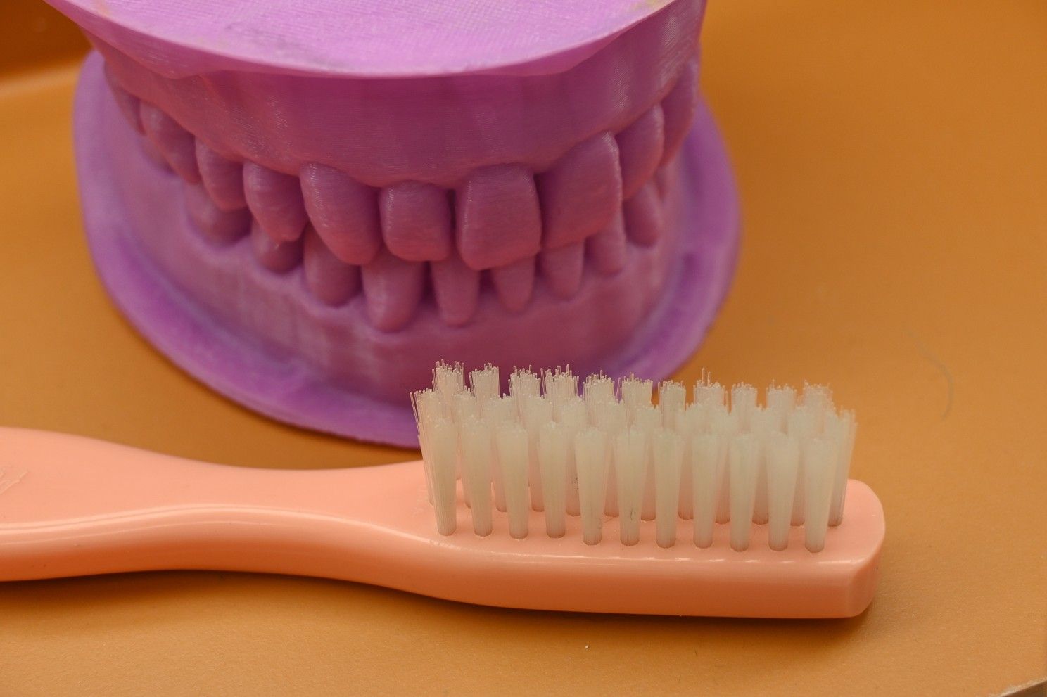 toothbrush and teeth