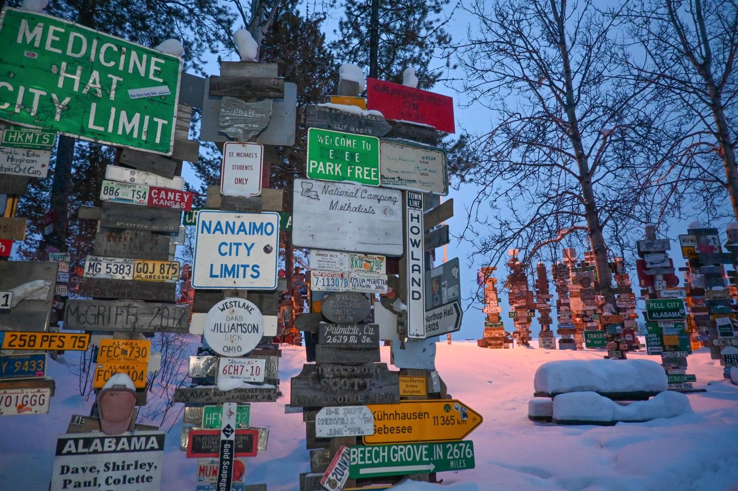 sign post forest