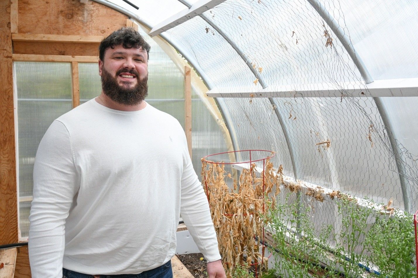 a person in the greenhouse