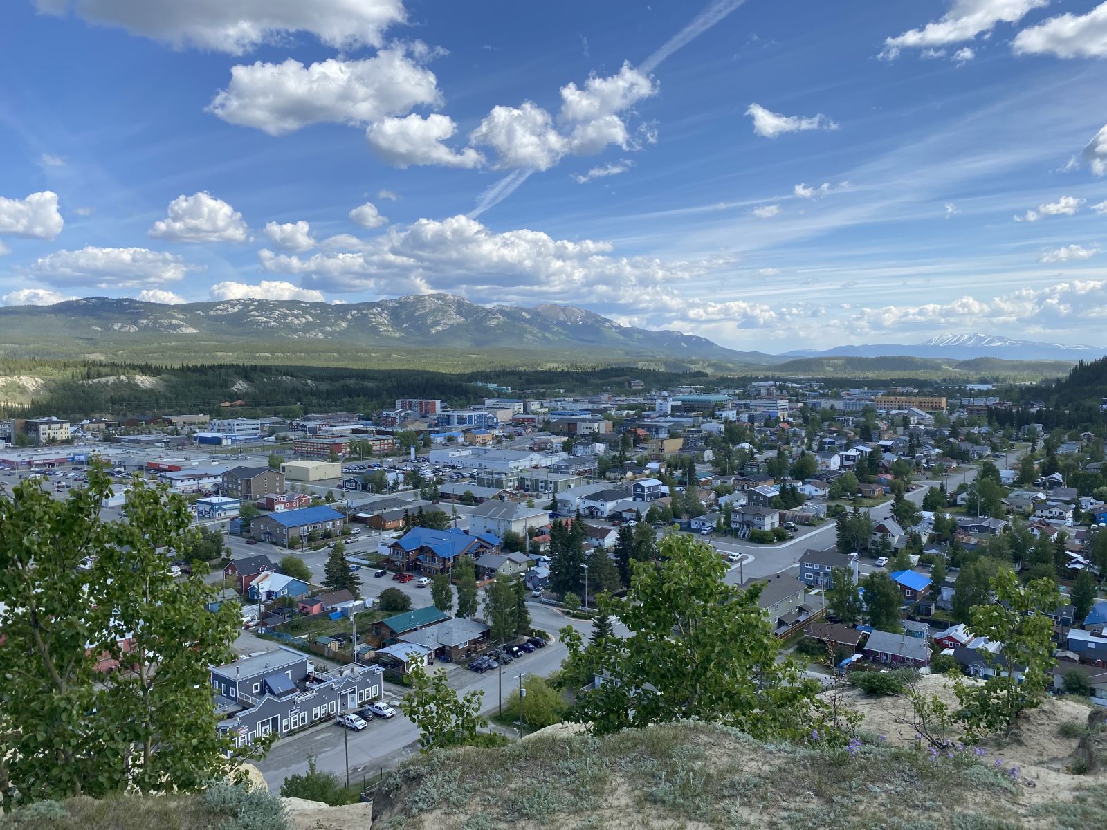 The city of Whitehorse seen from the clay cliffs walking trails