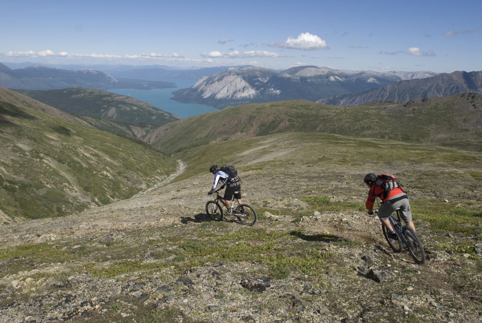 Mountain biking on the Sam McGee trail, Montana Mountain. 