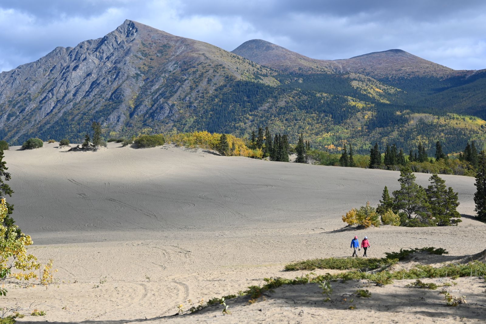 The Carcross desert is a unique feature of the region.