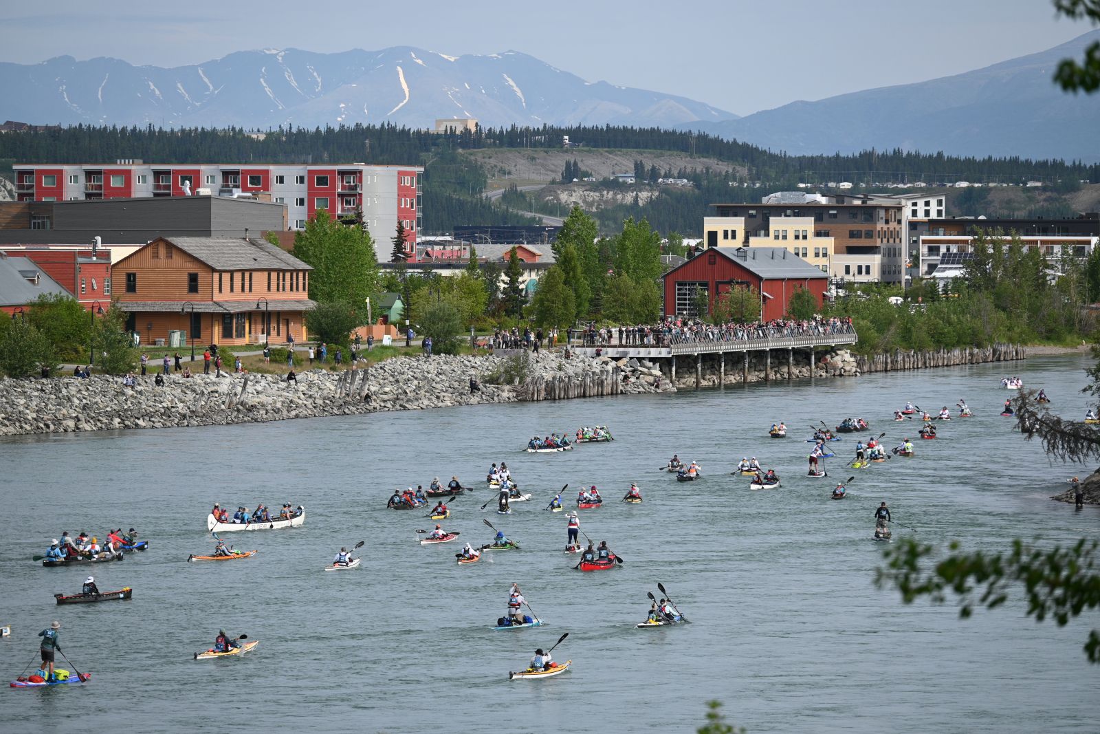 The Yukon River Quest launches every summer in downtown Whitehorse, setting paddlers on their way to Dawson City.