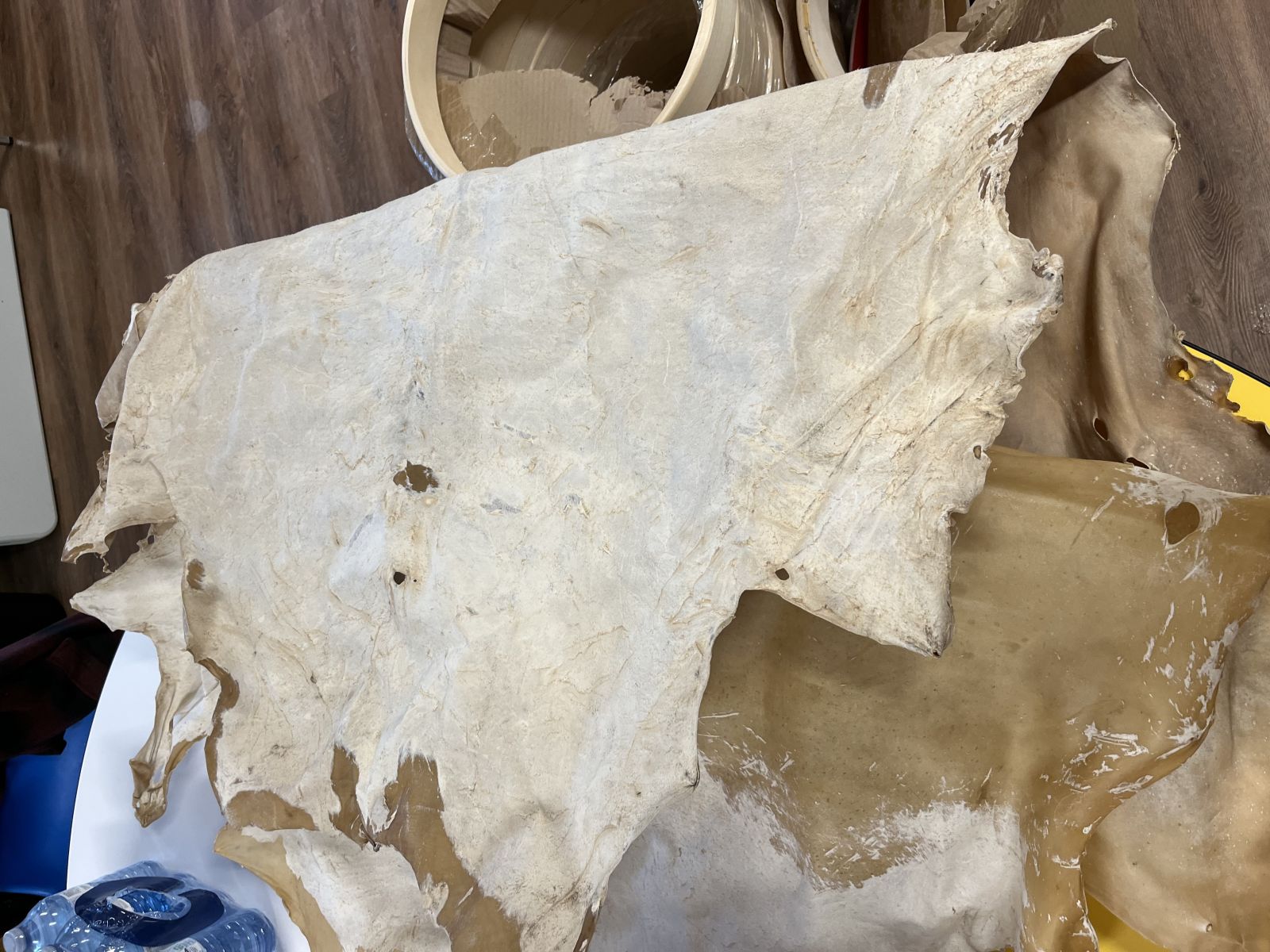 Some hide used for making drums at a recent workshop