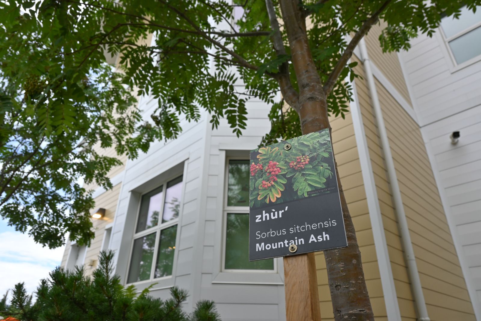 Walking paths at Whistle Bend Place include a garden with labelled plants