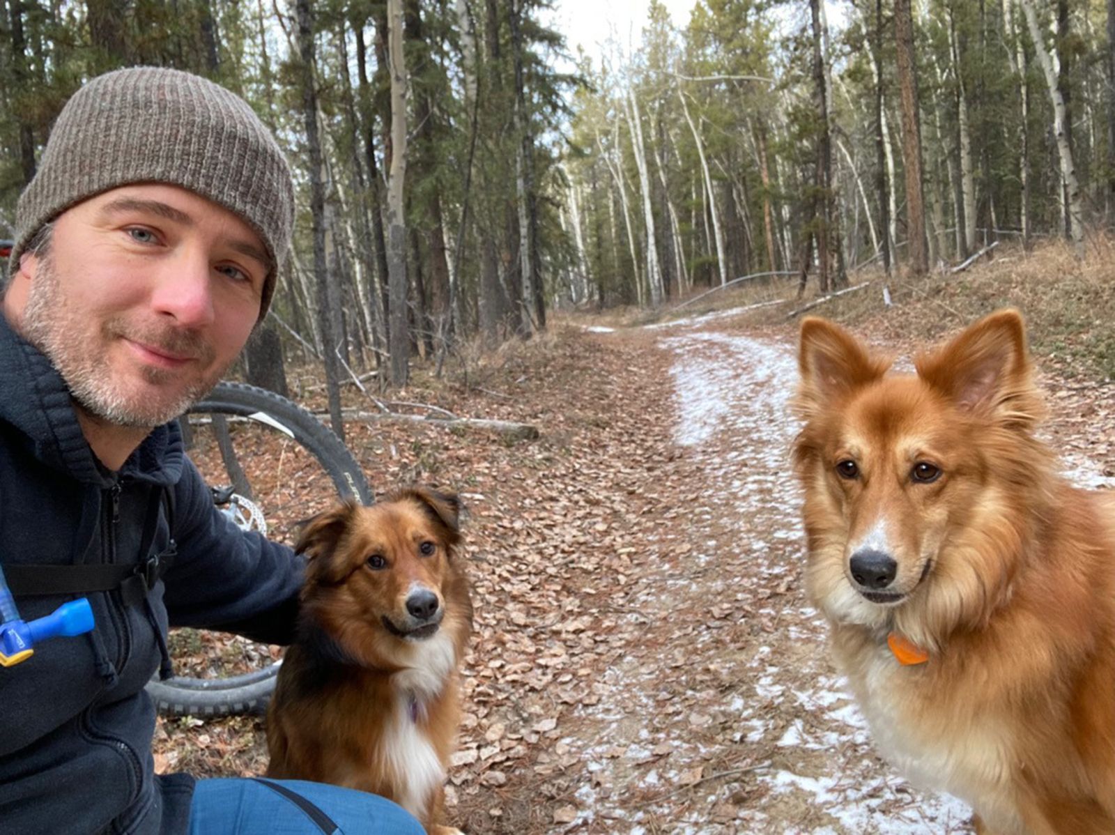 A social worker in the Yukon is seen with dogs on a mountain bike trail