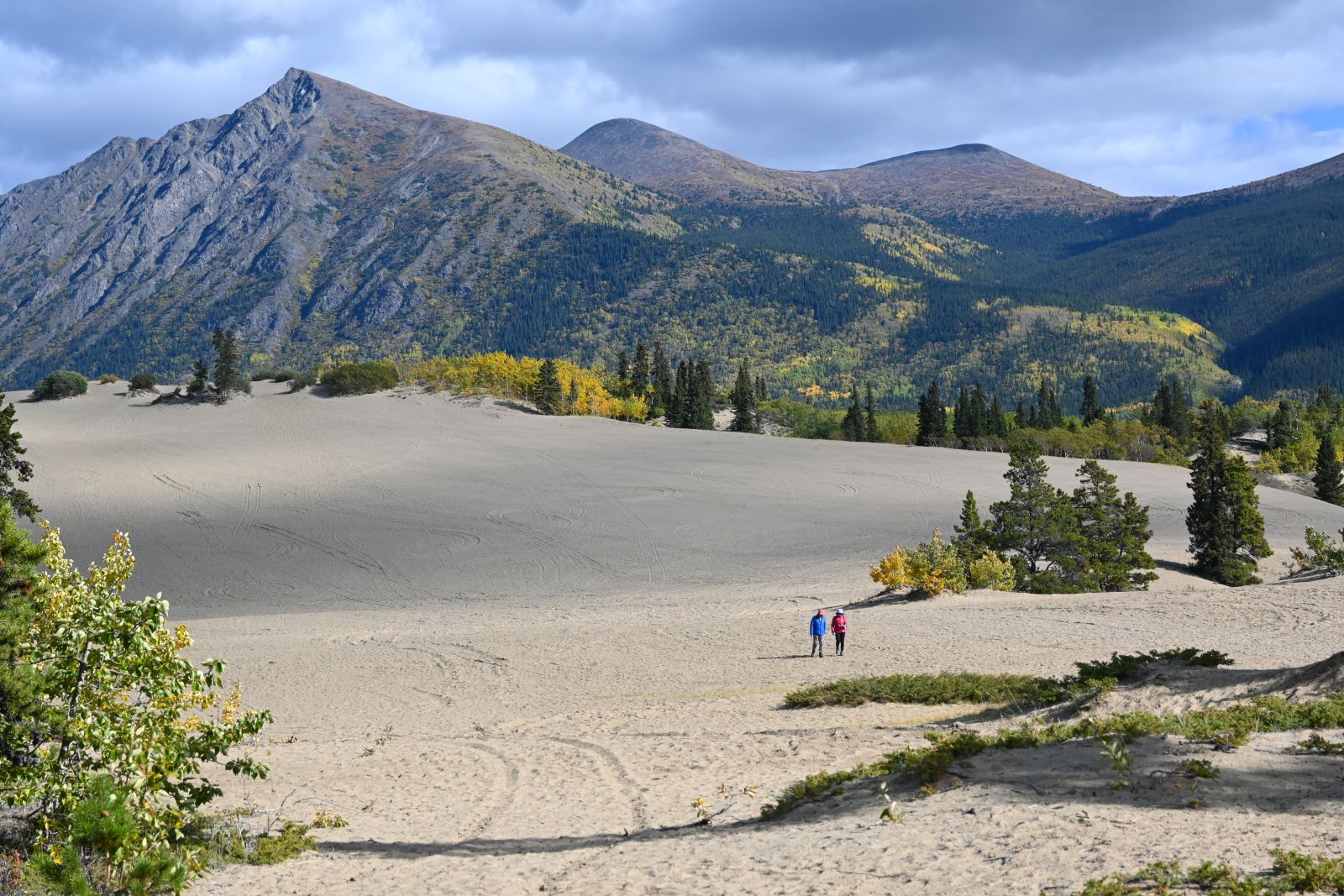The Carcross desert is a unique feature of the region.
