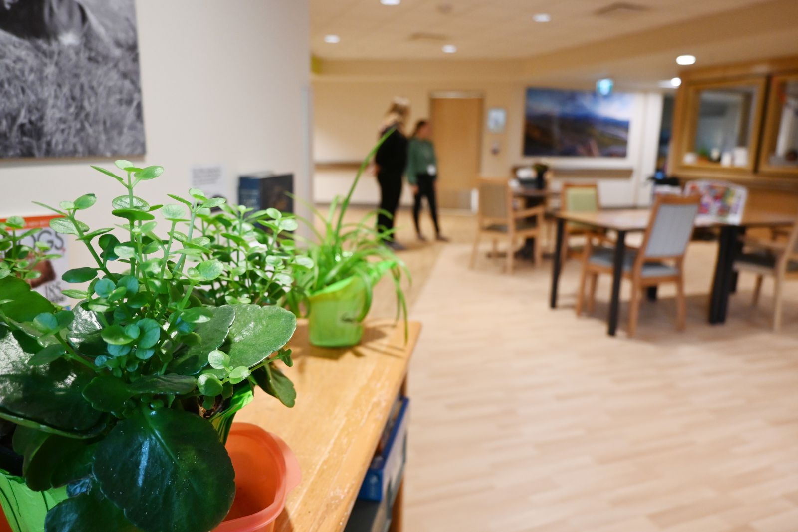 Meals are enjoyed in different shared dining areas at Whistle Bend Place