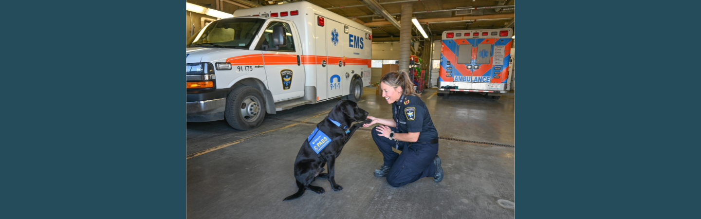 Thorin is an accredited service dog which works with Yukon EMS in Whitehorse